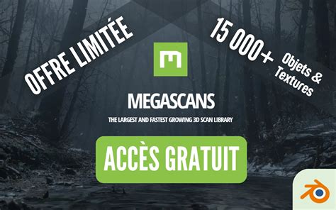 megaquixel|Megascans.